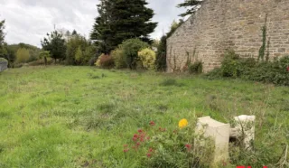 Terrain 557m²