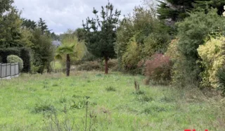 Terrain 557m²
