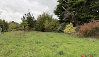Terrain 557m²