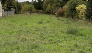 Terrain 557m²