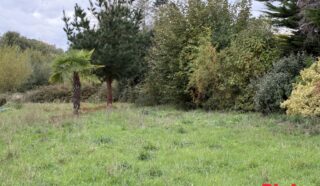 Terrain 557m²